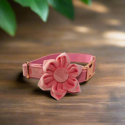 pink flower dog collar