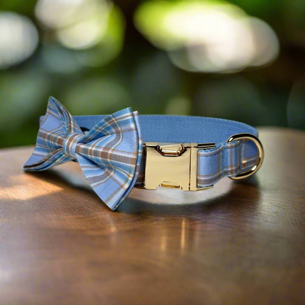 Blue Plaid Collar - Skye