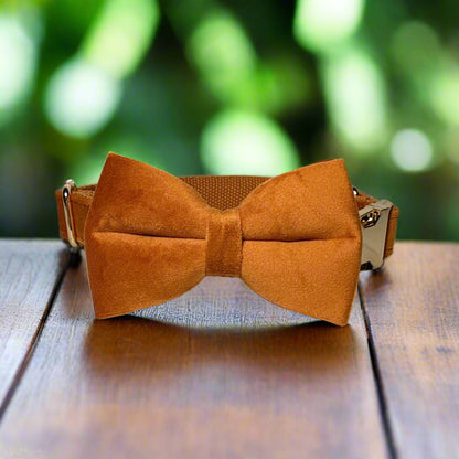 Bronze Velvet Collar - Amber