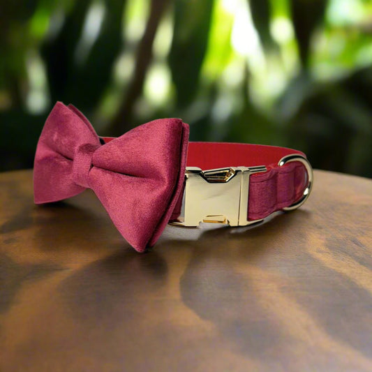 red wine bow tie dog collar