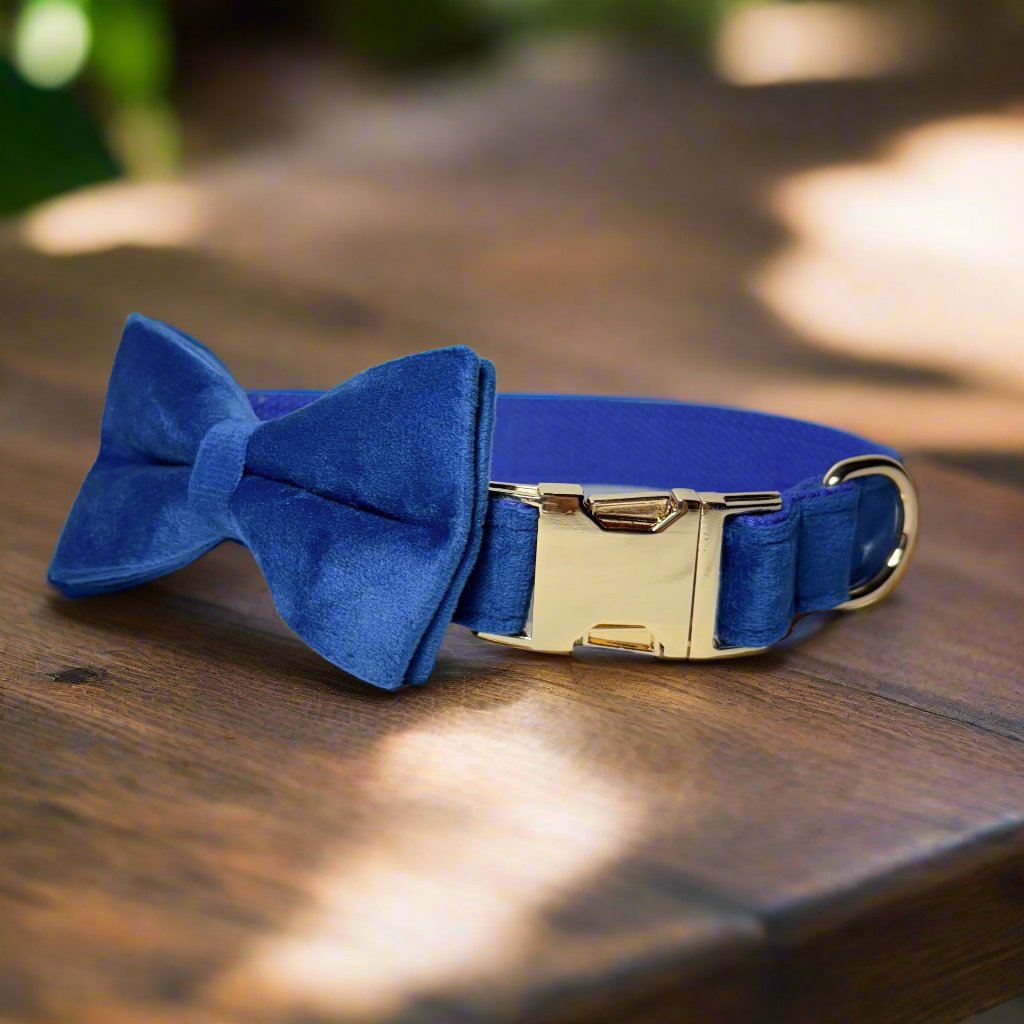 Indigo Velvet Collar - Iris