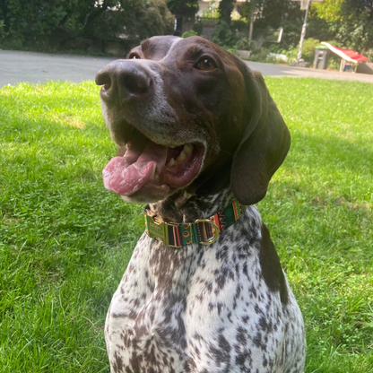 Bohemian Style Collar - Gypsy