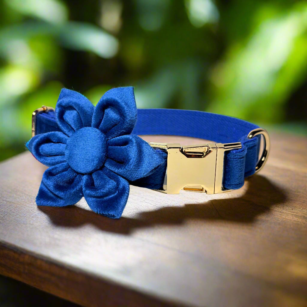 Indigo Blossom Dog ID Collar with flower front view