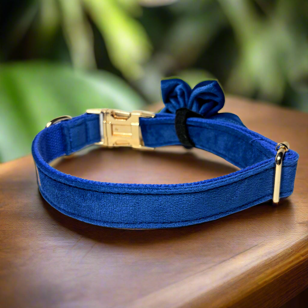 Indigo Blossom Dog ID Collar with flower back view