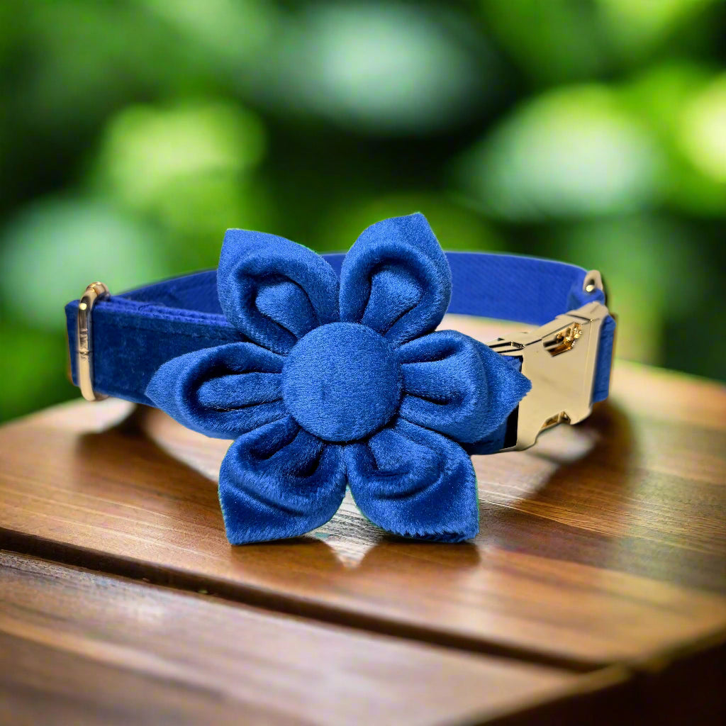 Indigo Blossom Dog ID Collar with flower side view