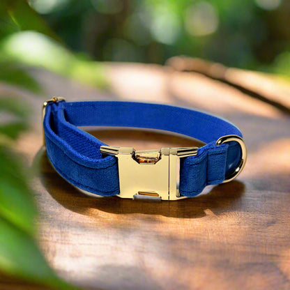 Indigo Blossom Dog ID Collar without flower front view
