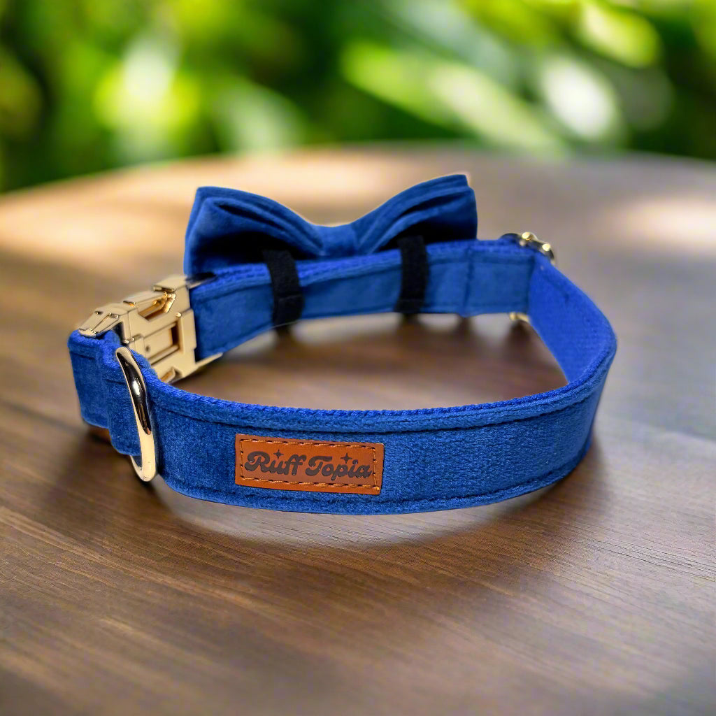 Indigo Velvet Dog ID Collar with bow tie back view