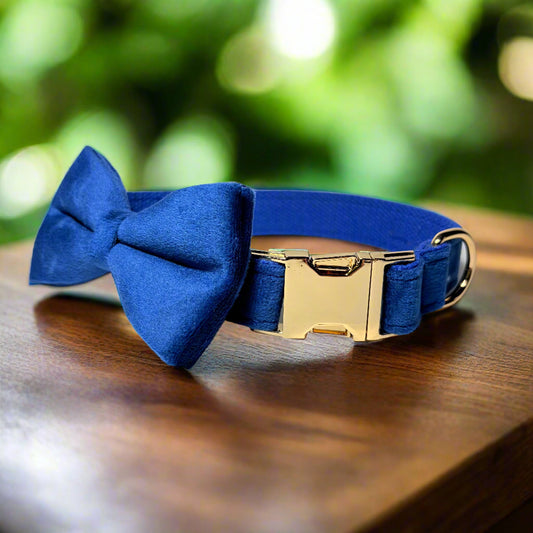 Indigo Velvet Dog ID Collar with bow tie front view