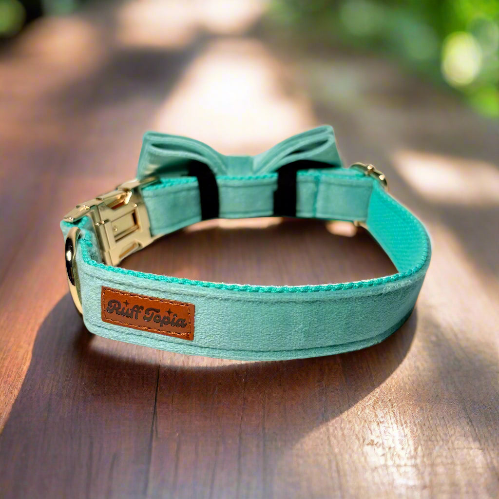 Matcha Velvet Dog ID Collar with bow tie back view