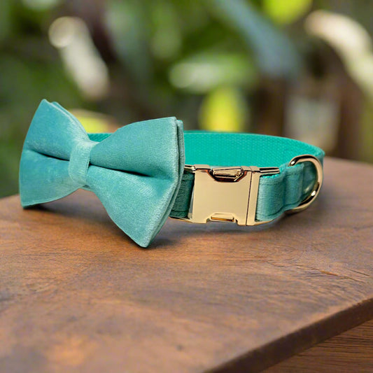 Matcha Velvet Dog ID Collar with bow tie front view