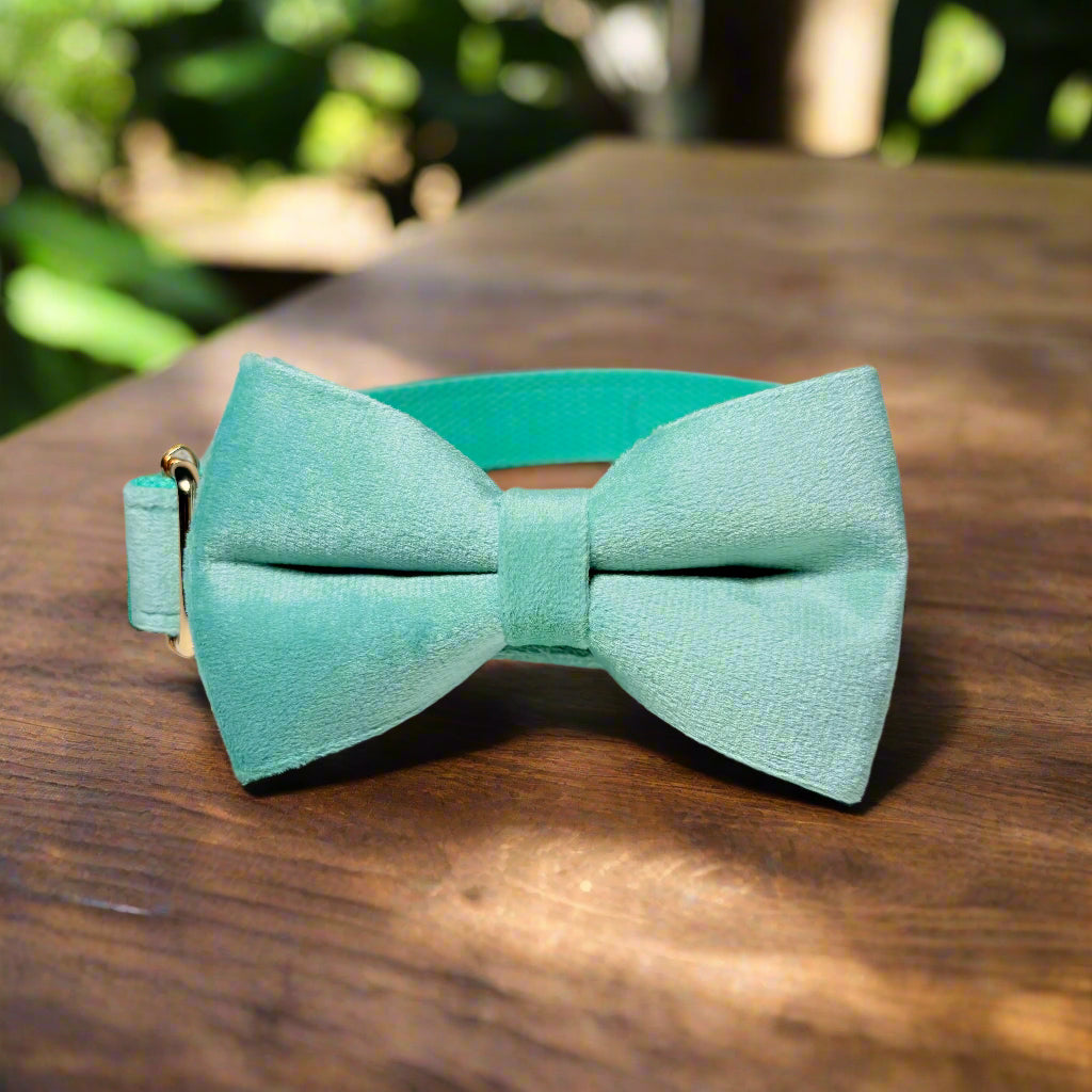 Matcha Velvet Dog ID Collar with bow tie side view