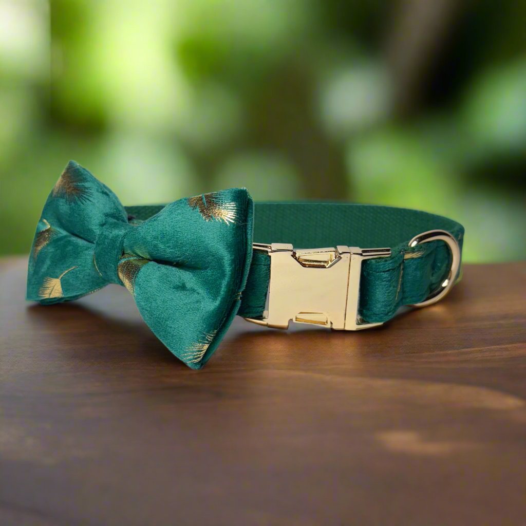 Peacock Green Velvet Dog ID Collar with bow tie front view