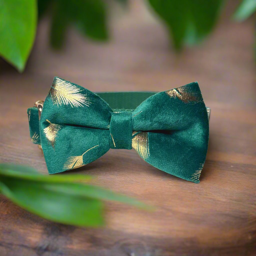 Peacock Green Velvet Dog ID Collar with bow tie side view