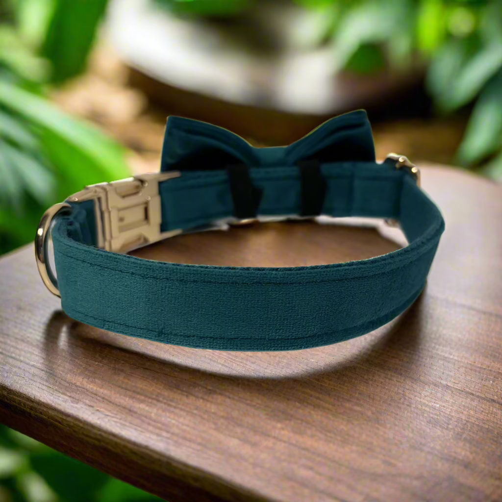 Pine Green Velvet Dog ID Collar with bow tie back view