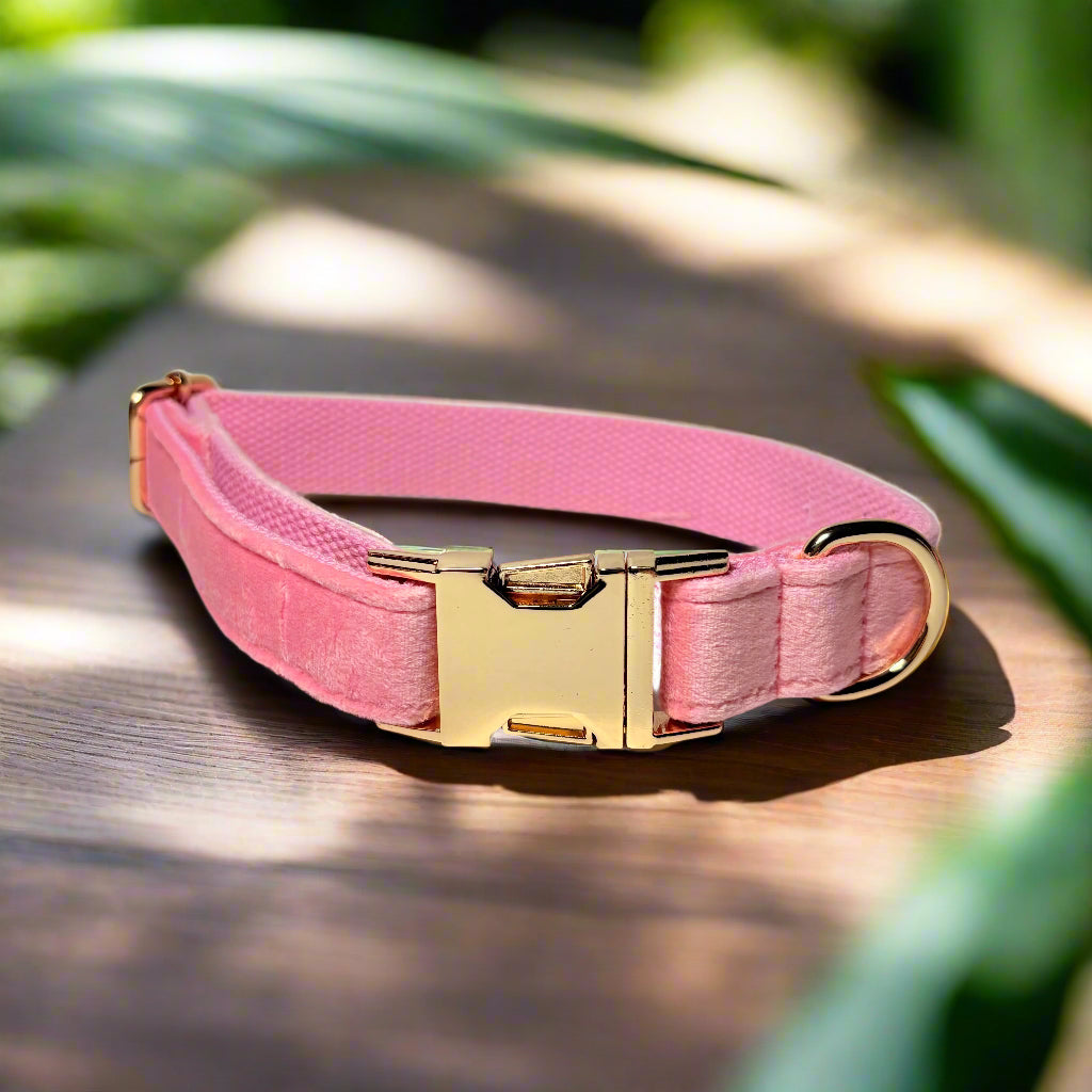 Pink Blossom Dog ID Collar without flower front view