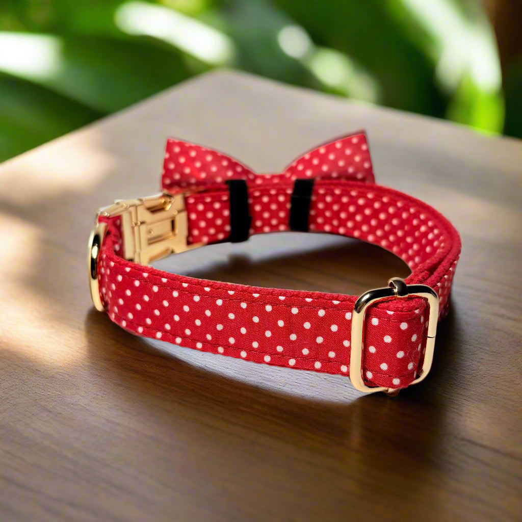 Polka Paws Dog ID Collar with bow tie back view