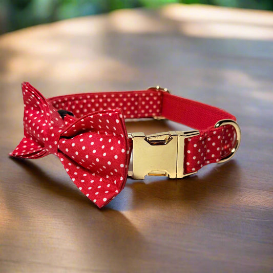 Polka Paws Dog ID Collar with bow tie front view