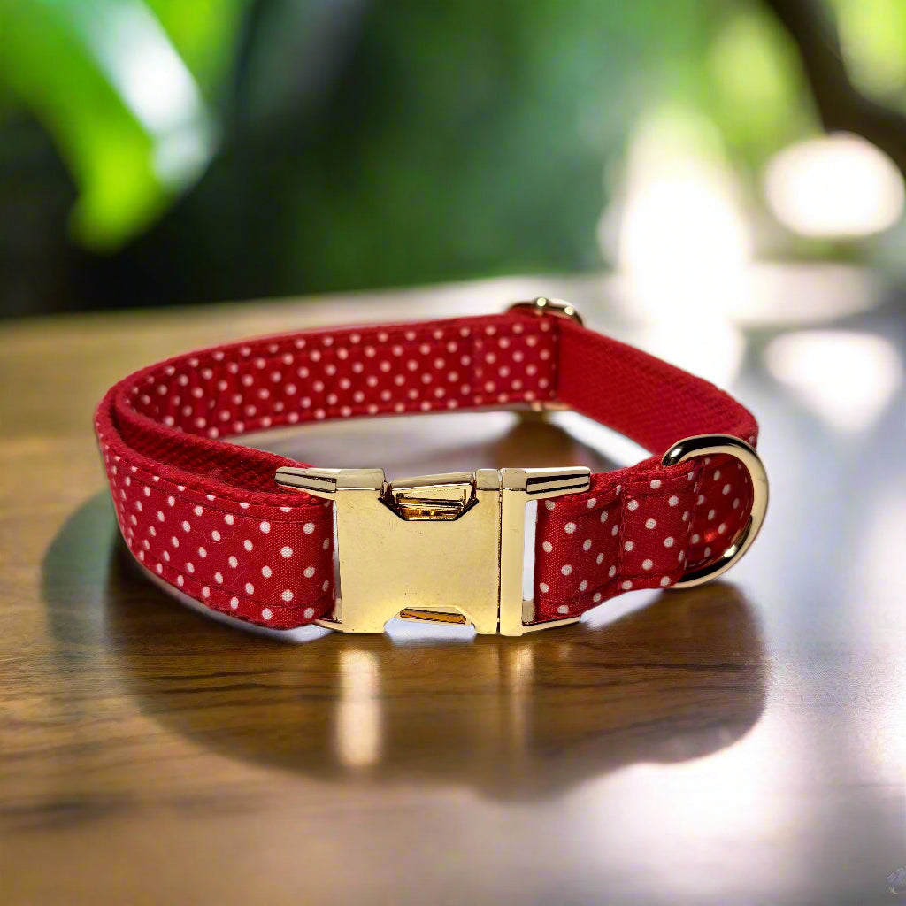 Polka Paws Dog ID Collar without bow tie front view