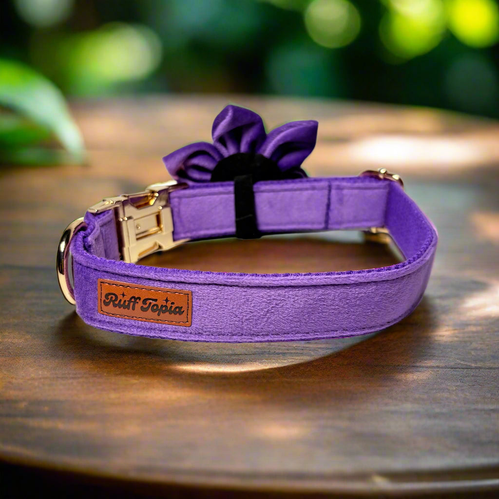 Purple Blossom Dog ID Collar with flower back view