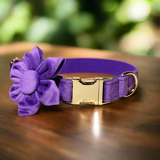 Purple Blossom Dog ID Collar with flower front view