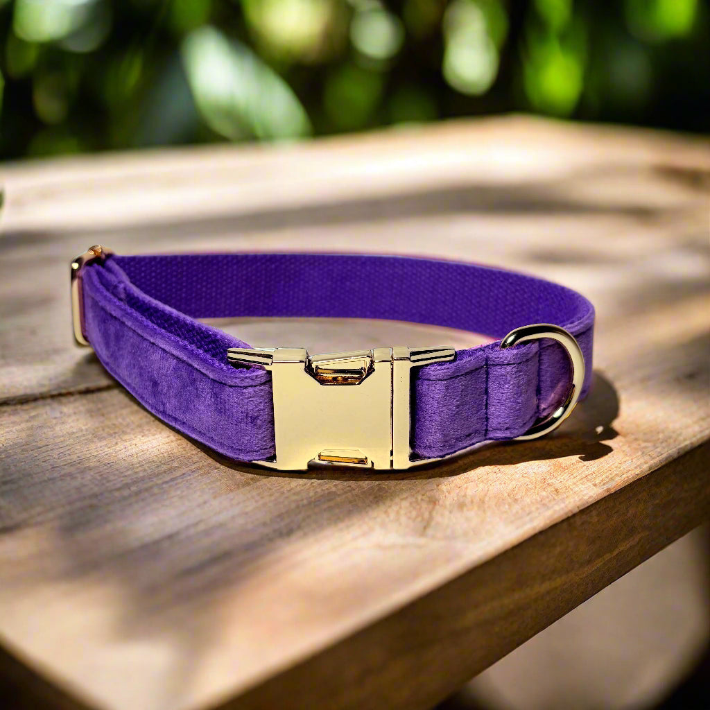Purple Blossom Dog ID Collar without flower front view