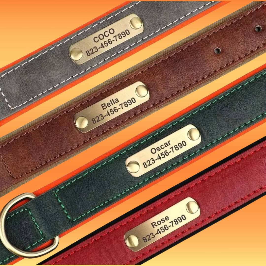 Personalized Dog ID Collar