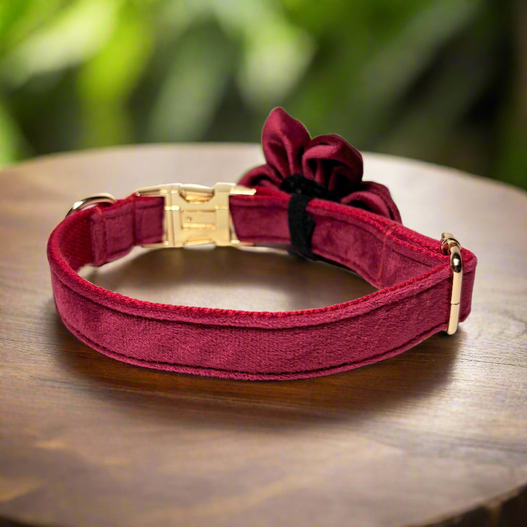 Red Wine Blossom Dog ID Collar with flower back view