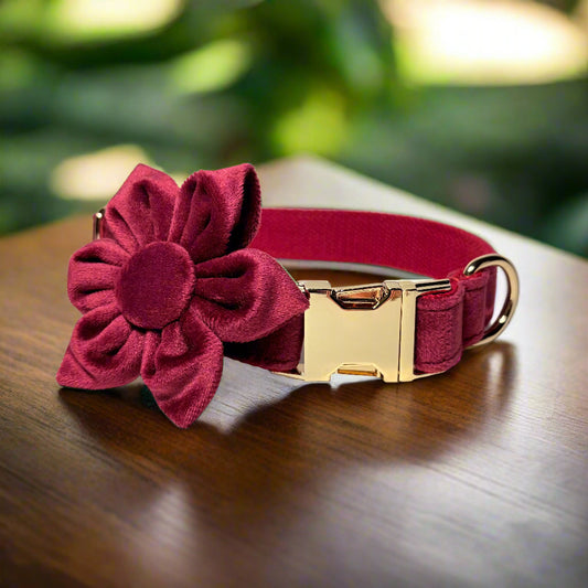 Red Wine Blossom Dog ID Collar with flower front view
