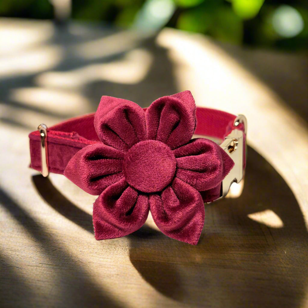 Red Wine Blossom Dog ID Collar with flower side view