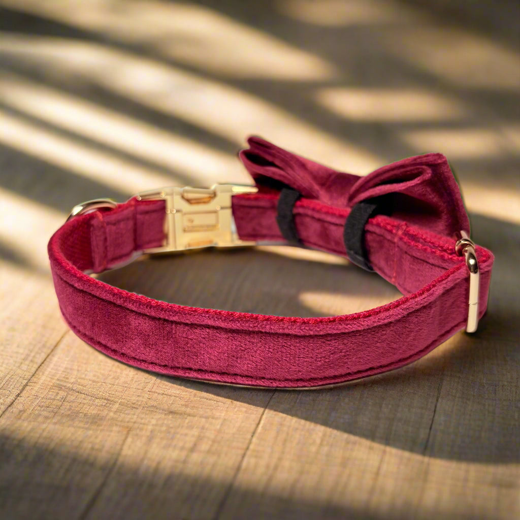 Red Wine Velvet Dog ID Collar with bow tie back view
