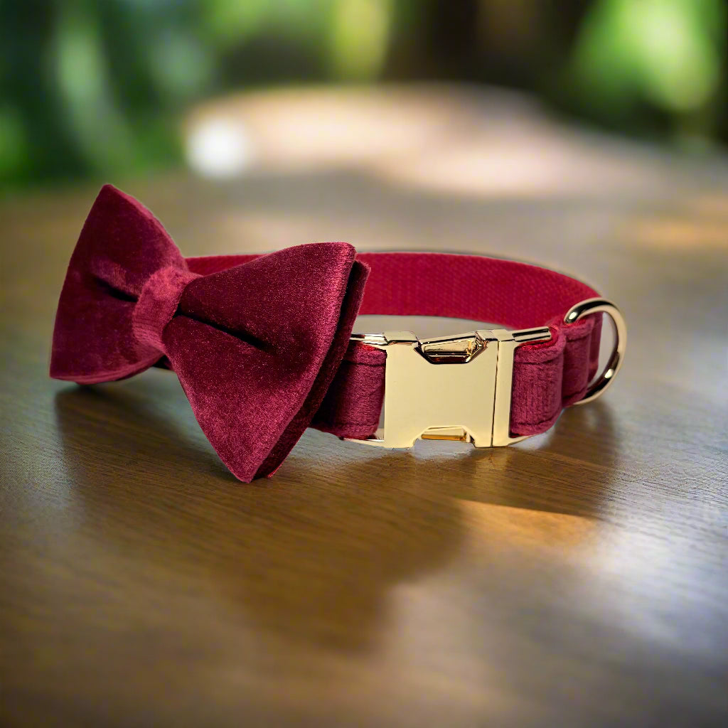 Red Wine Velvet Dog ID Collar with bow tie front view