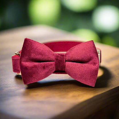 Red Wine Velvet Dog ID Collar with bow tie side view