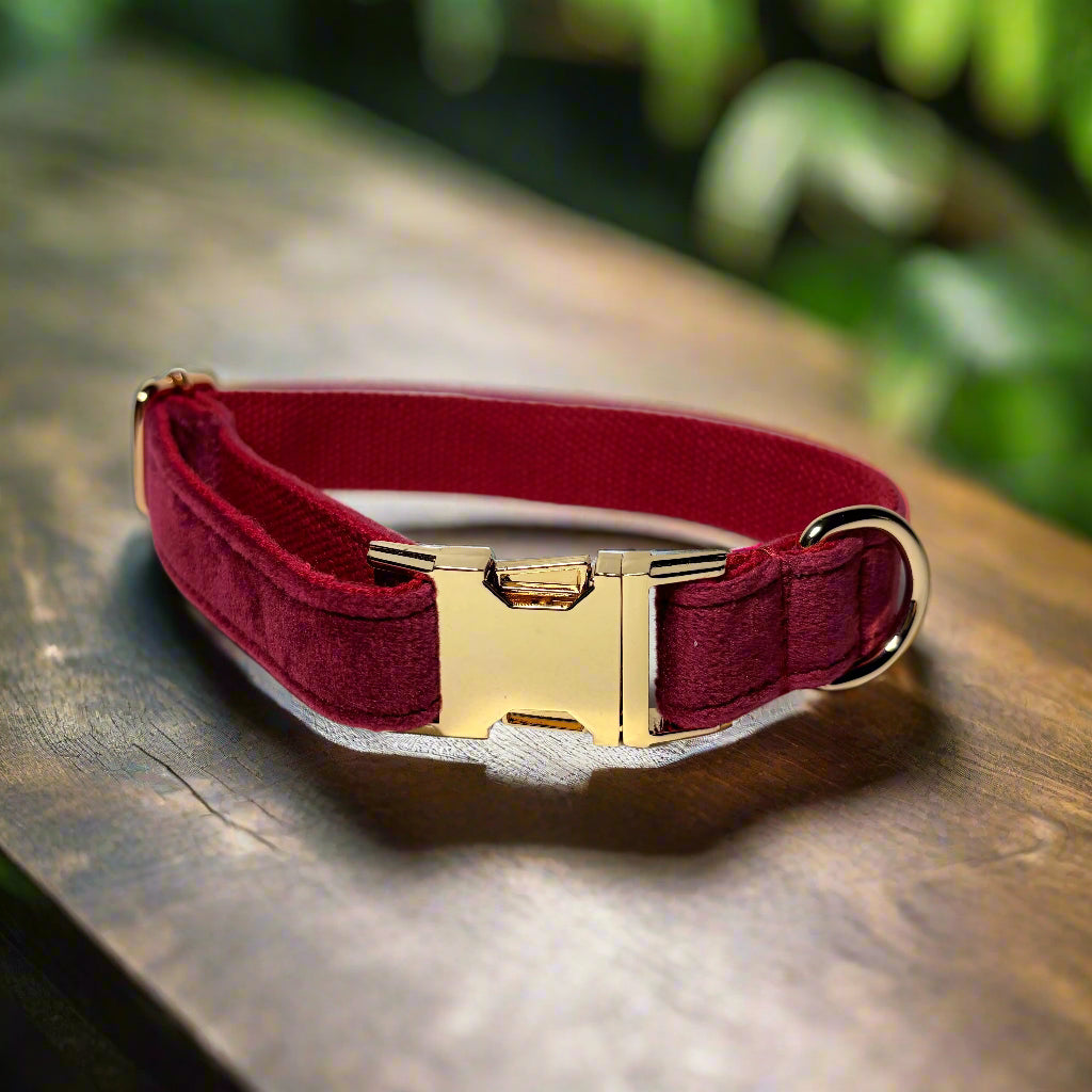 Red Wine Velvet Dog ID Collar without bow tie front view