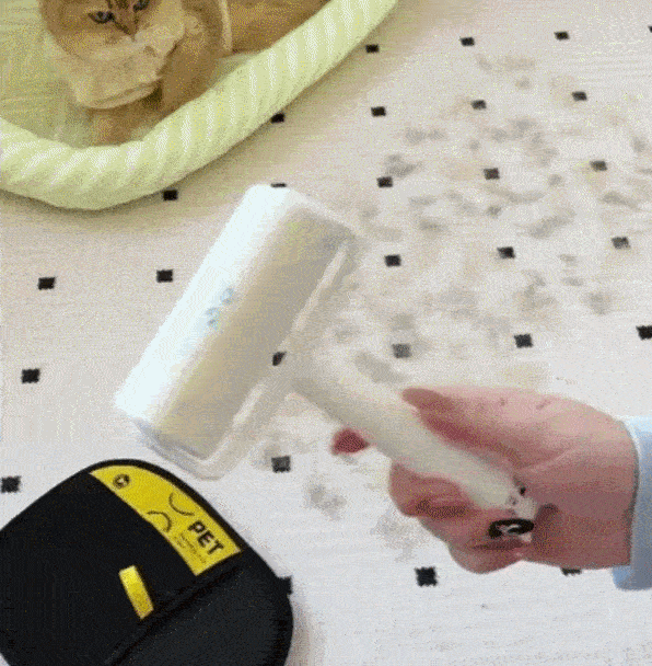The Magic Brush