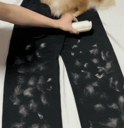 The Magic Brush
