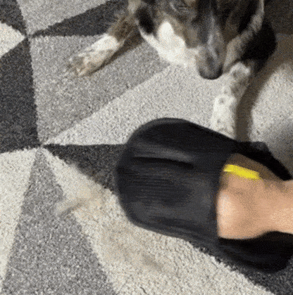 The Magic Brush