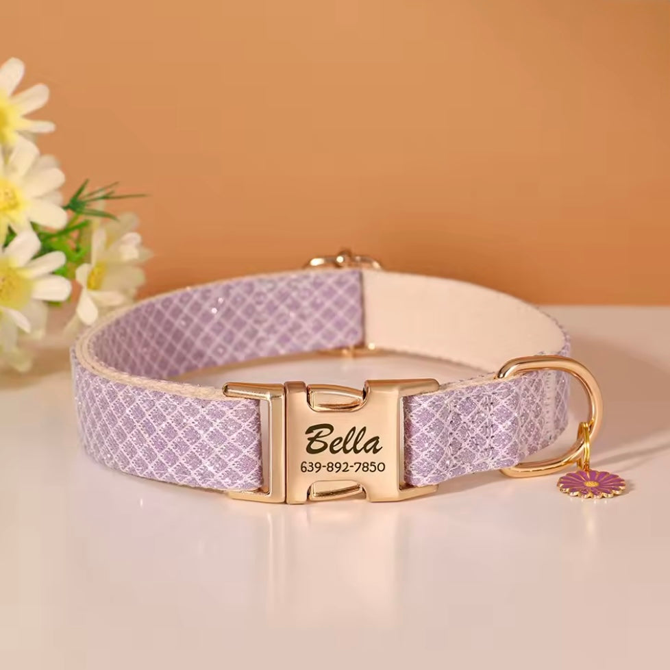 Personalized Dog ID Collar