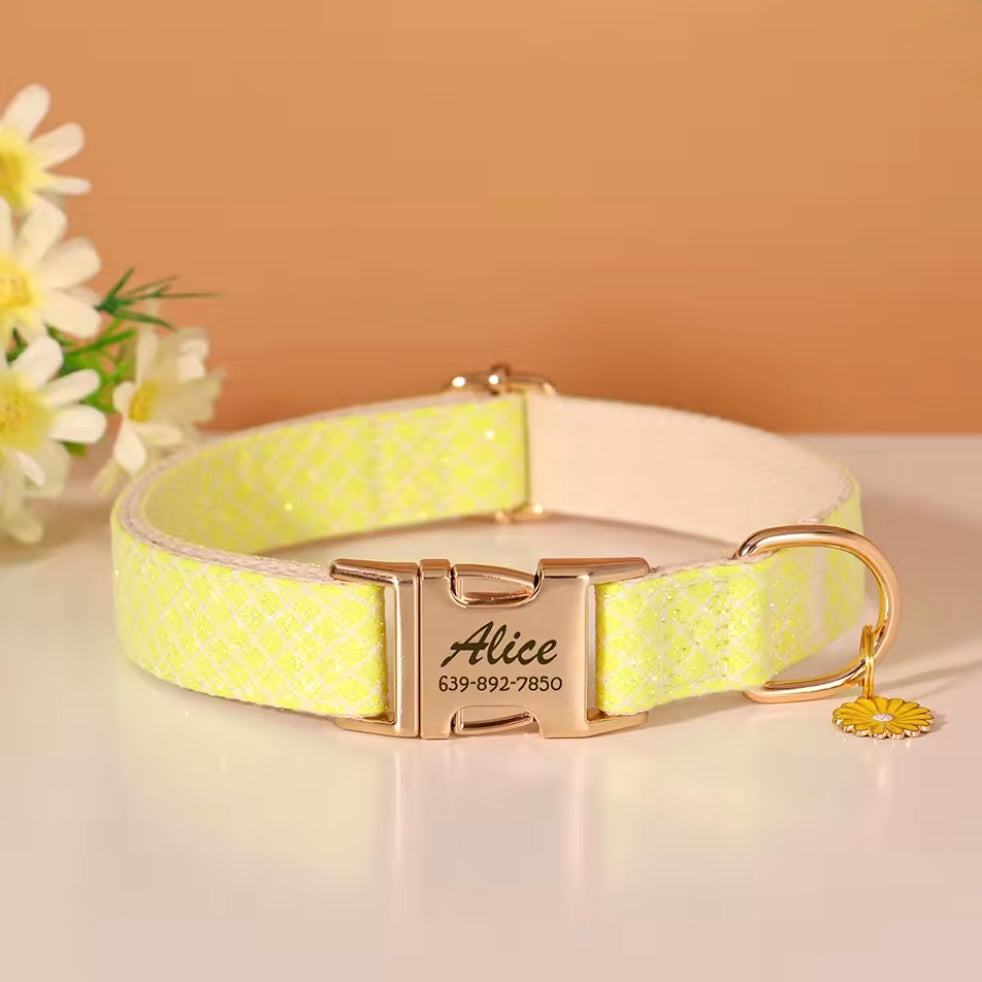 Personalized Dog ID Collar