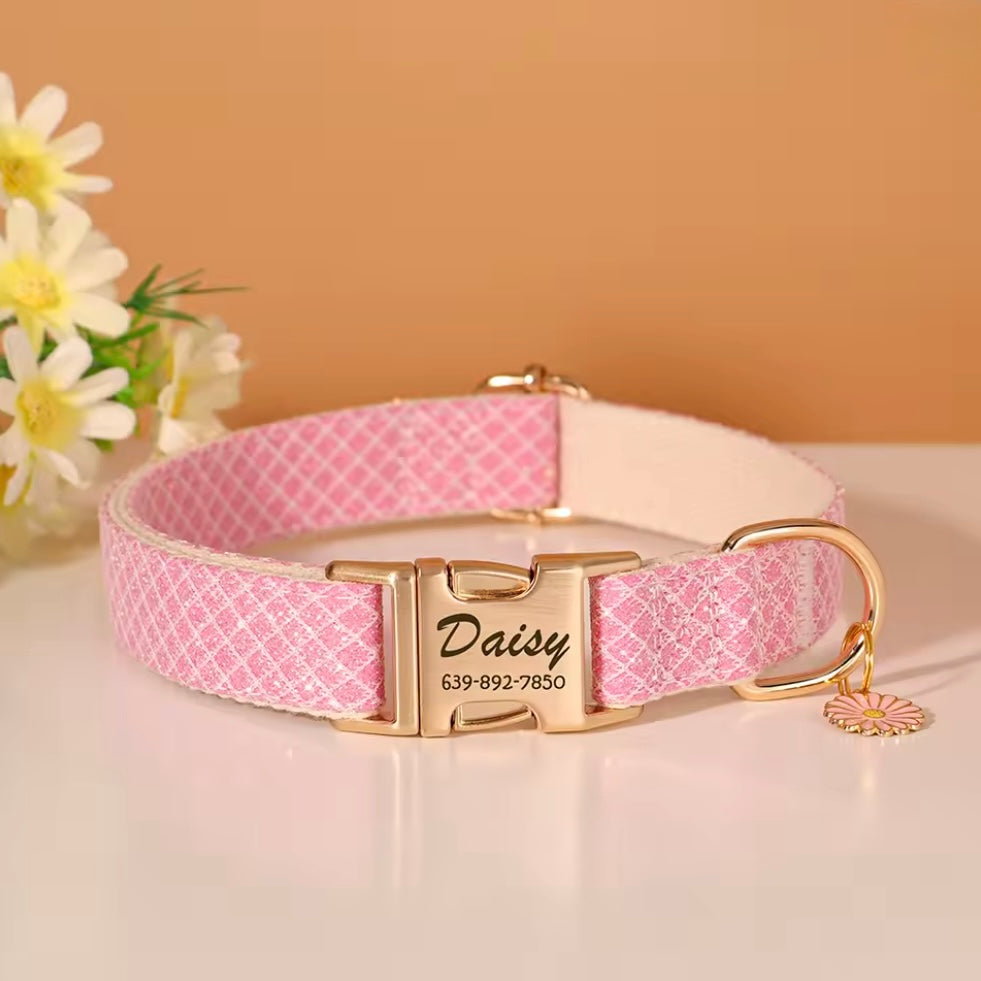 Personalized Dog ID Collar