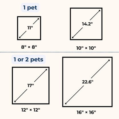 Eternal 3D Pet Portrait