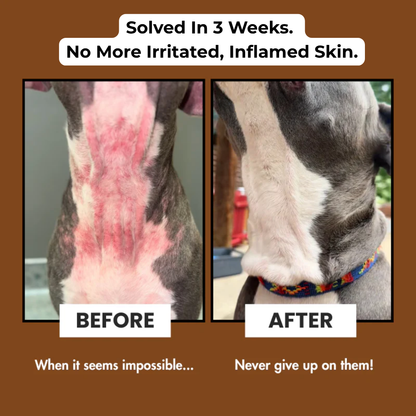 3-in-1 Grooming Glove Wipes (For Dogs and Cats)