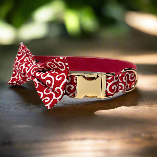 blazing fire dog collar with bow tie - front view