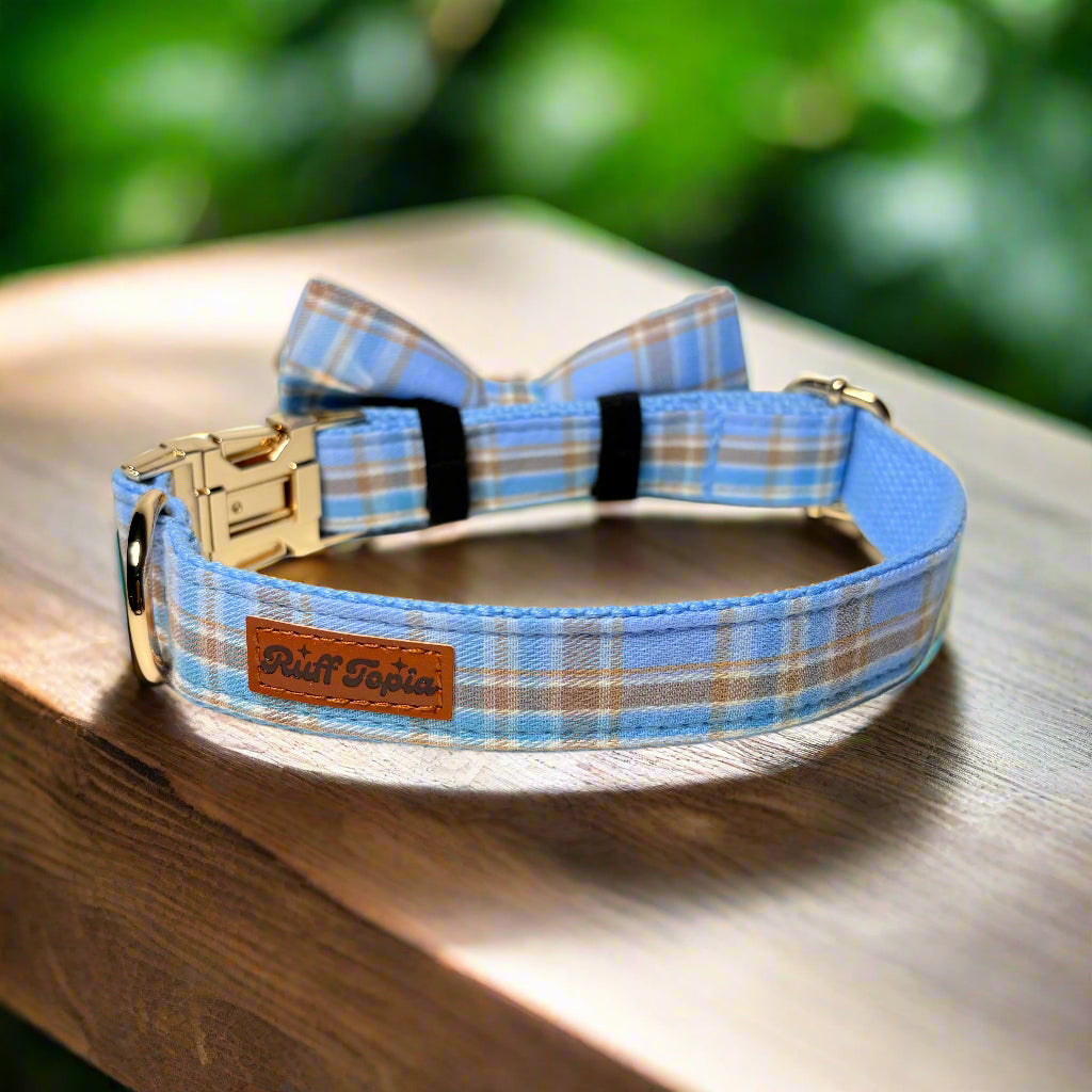 blue plaid dog collar with bow tie - back view