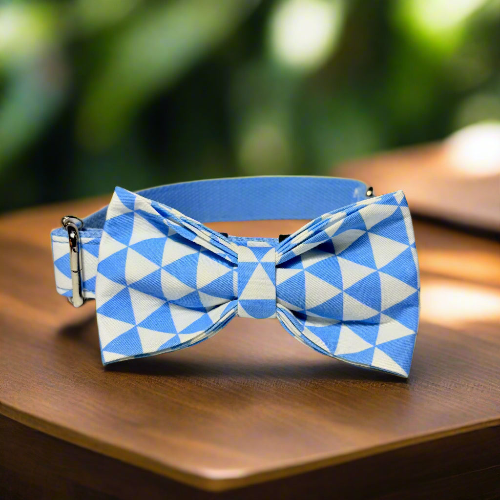 blue playboy dog collar - side view