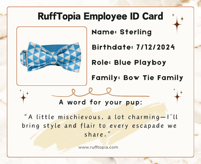 emloyee_id_card_-_sterling