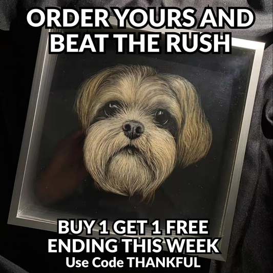 Knife Scratch 3D Pet Portrait