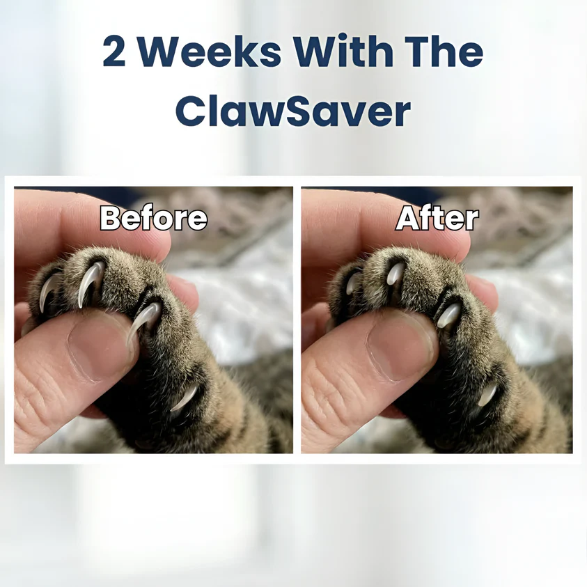 Cat ClawSaver™