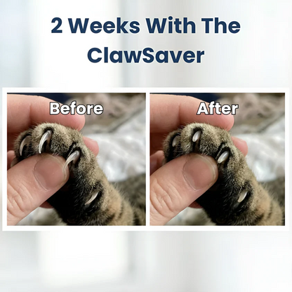 Cat ClawSaver™