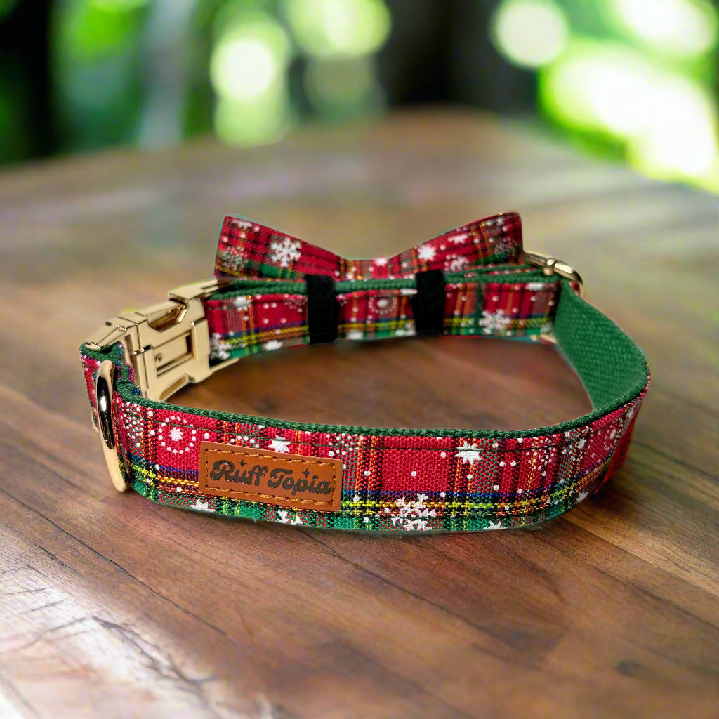 holiday vibe dog collar with bow tie back view