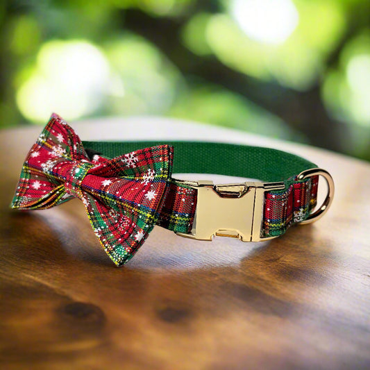 holiday vibe dog collar with bow tie front view